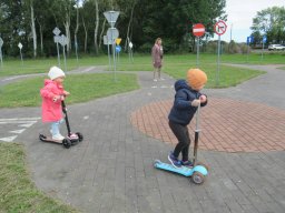 2025-09-26 Biedronki w Chojnie